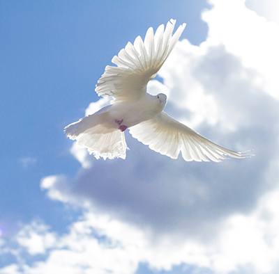 Spirito Santo